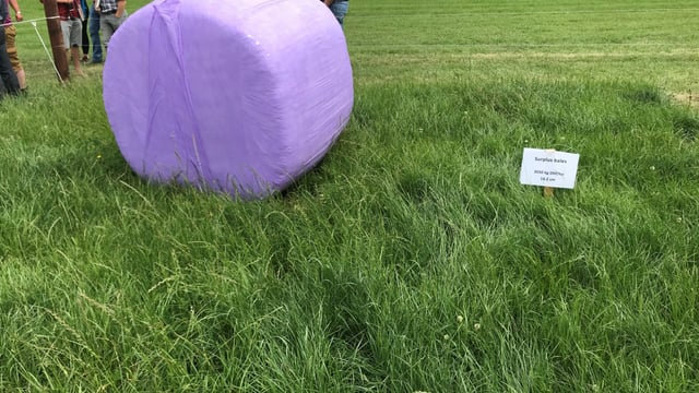 Grazing residuals: What covers should I be going into?