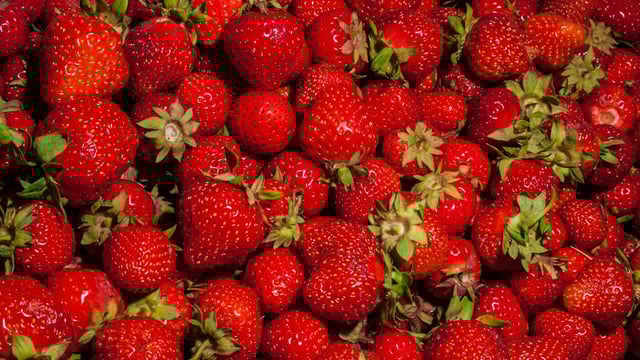 UK Government asks people to pick fruit and veg for Britain