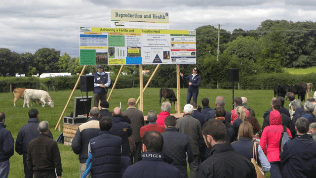 Site map: What's on the agenda at Teagasc's BEEF 2018 event?