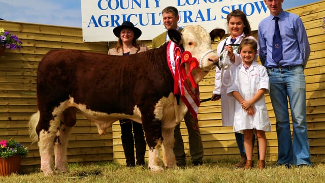 Pics: Strong turnout of Herefords at Longford Show