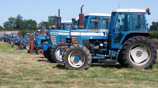 Auction report: Enough Fords to fill a field; check out these prices