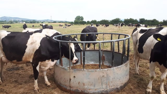 No rain for 35 days: 'Growth rates are worse than winter'