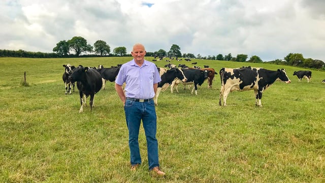 King of the hill: 'Dairy is the only sustainable sector'
