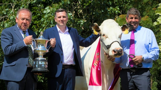 Entries open for 35th Diageo Baileys Champion Dairy Cow Competition