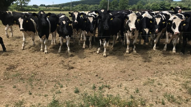 Cross-sector farm incomes hit with substantial slump in 2018