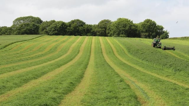 Deadline for forage crop applications looming