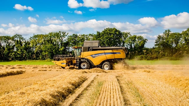 Grain price: Low maize yield may add to rise