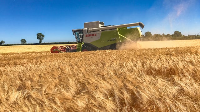 'Next harvest could be a different story than this year on prices'