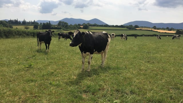 Dairy focus: Tipperary family stands out from the crowd when it comes to milk quality