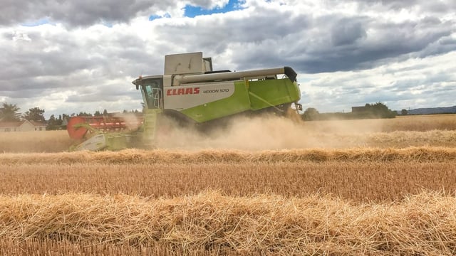 Tillage focus: Coeliacs celebrate as combines roll