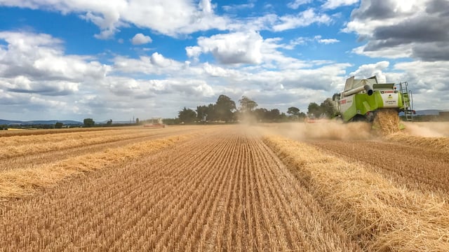 Glanbia sets out plans for grain following discussions