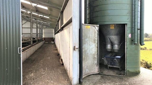 Feeding meal to deal with the drought