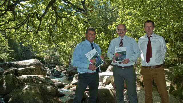 Well-designed woodlands are 'vital' to protecting streams and lakes