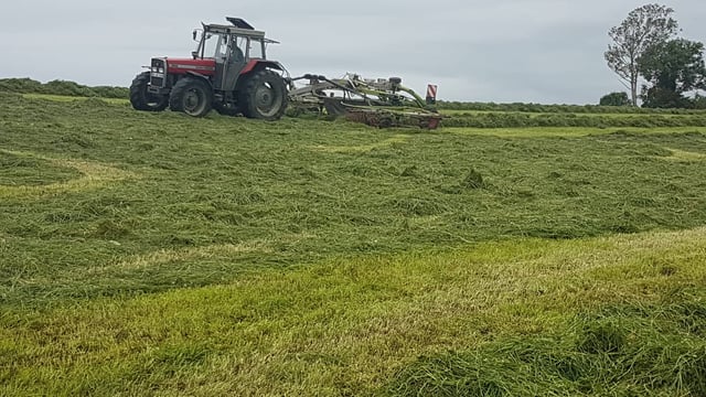 Farmers 'from Malin to Mizen' encouraged to save fodder at every opportunity