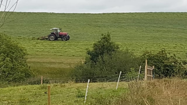 Teagasc draws up silage production agreement contracts