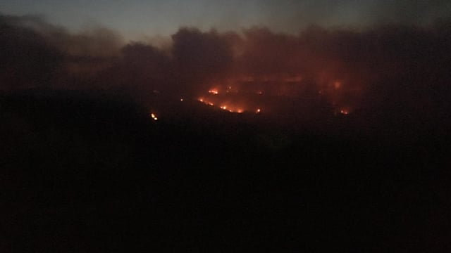 Video: Extensive forest fire rips through midlands mountains