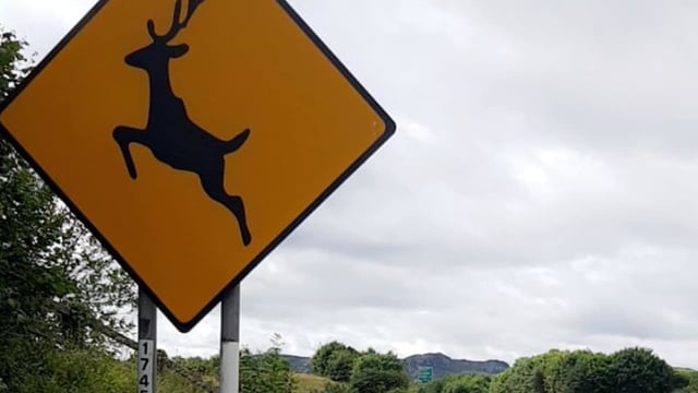 Gardai warn rural drivers to pay heed to signs following collision