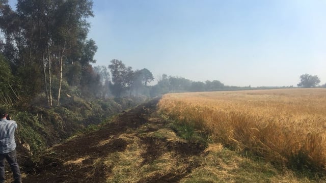 Fire breaks set up to protect 50ac corn field from fire