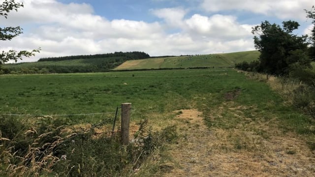 National drought warning extended by Met Eireann