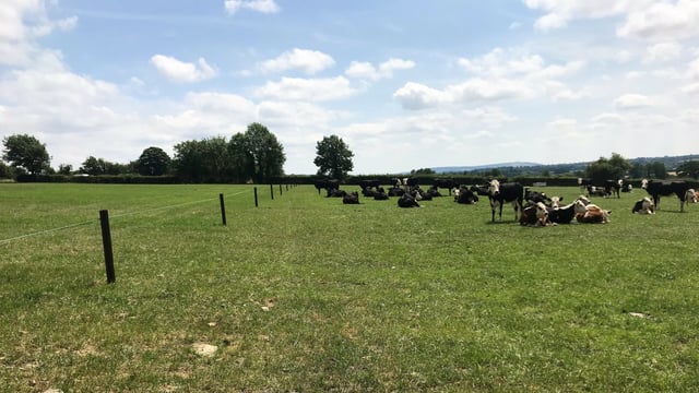 How one beef farmer changed tactics to deal with the drought