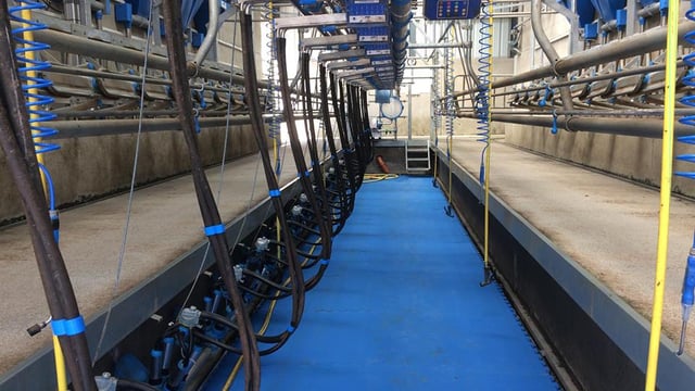 Dairy farmers 'being asked to pay too much too soon'