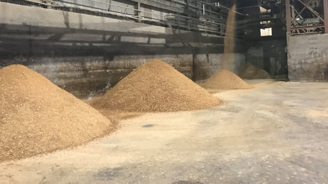 Feed supply issues coming down the line
