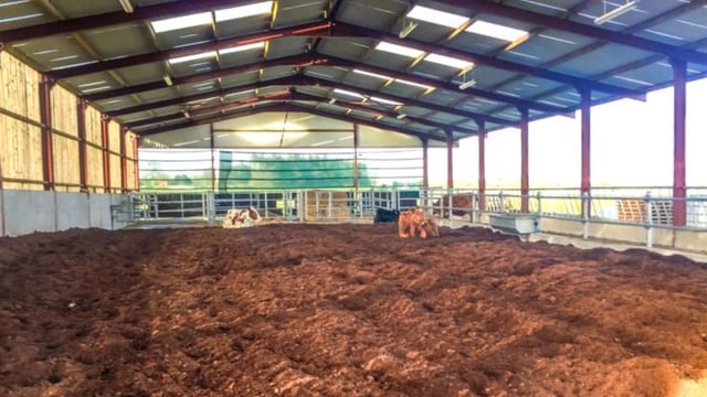 BNM to expand into peat bedding market