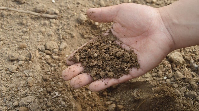 Teagasc seeks farmers for 'citizen science project' on soil