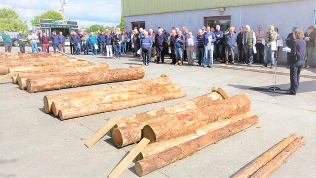 Log and timber quality: The focus at Talking Timber 2018