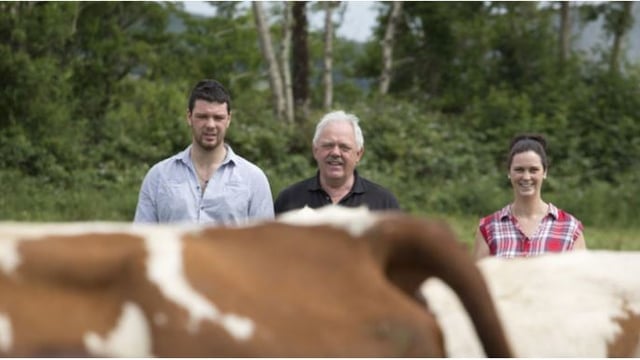 Dairy focus: French flair, growing numbers and making money from bull calves