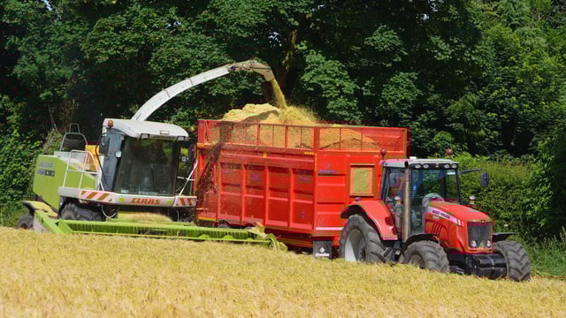 Wholecrop silage: An option for livestock and tillage farmers?