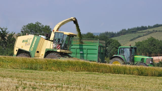 When to get cracking when making wholecrop silage
