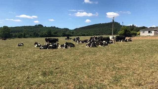 Can I grow more grass by spreading water on my paddocks?