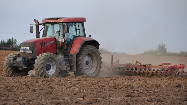 Fodder incentive measure 2018: What you need to know