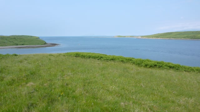 'Take me to the island': 81ac Westport land suitable for grazing