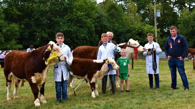Pics: Over 60 Herefords on display at the North Tipperary Agricultural Show