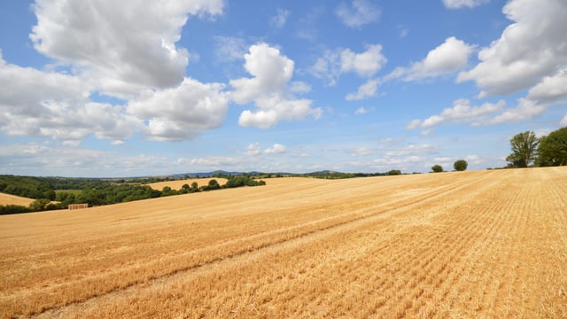 Pics: Gorey auction to offer 'valuable' 52ac roadside holding