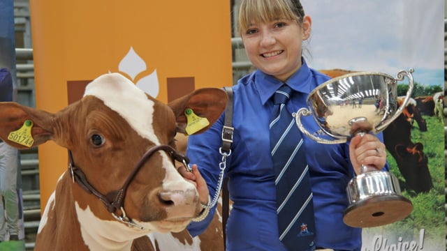 Entry date looming for Northern Ireland multi-breed calf show