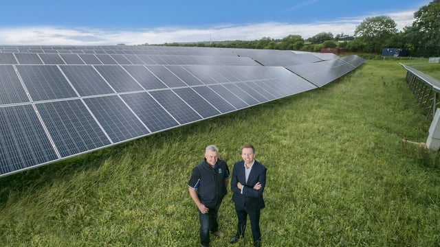 37ac solar farm powering Dale Farm's cheddar cheese plant