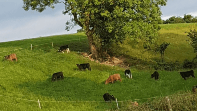 New €22.2 million bioeconomy research centre opened