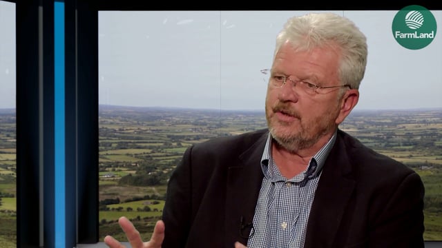 Irish beef exports will require EU supports post-Brexit - agri economist