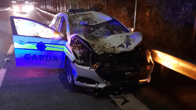 Collision with loose horse leaves 2 Gardai injured