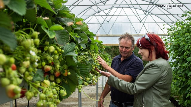 Wheelock Fruits drives expansion as Taste Wexford gains ground