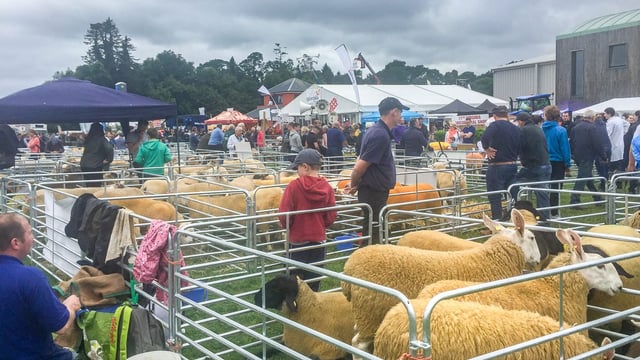Pics: Crowds gather for 77th Virginia Show