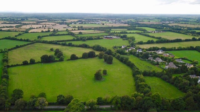 32ac sale encourages a repair to The Curragh of Kildare