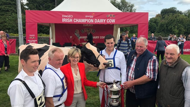 'Megan' goes one better as Diageo Baileys Champion Dairy Cow is crowned