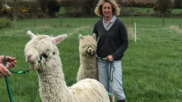 Wexford woman produces good food in harmony with nature