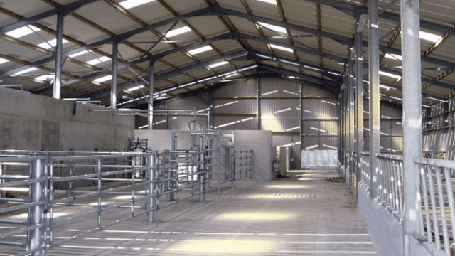 TAMS tranche 18 application deadline extension 'cannot hold up approvals' - IFA