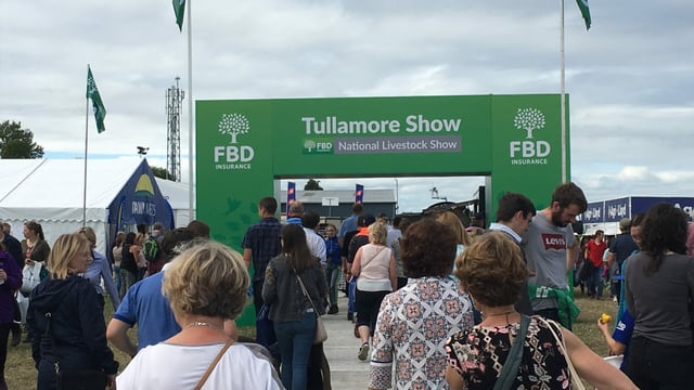 Pics: Crowds flock to Tullamore Show
