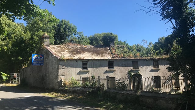 Dundalk holding with derelict house for sale attracts cross-border interest